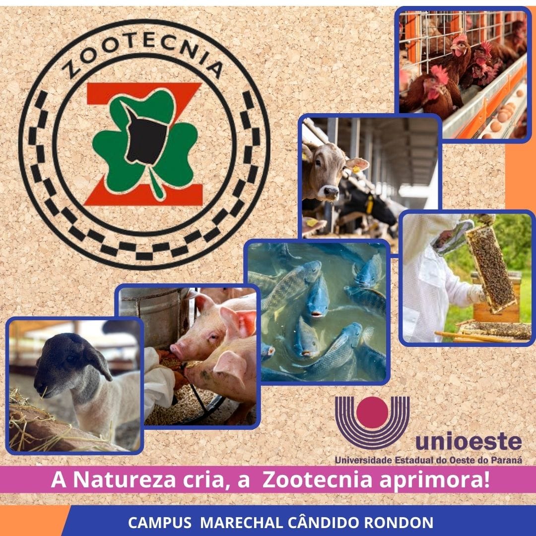 Curso de Zootecnia da Unioeste passa a ser matutino a partir de 2025