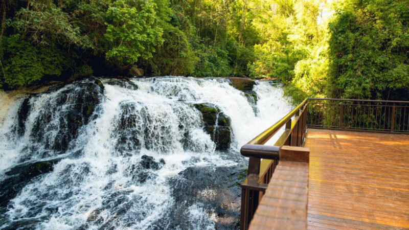 Parque Nacional do Iguaçu inaugura Espaço Usina