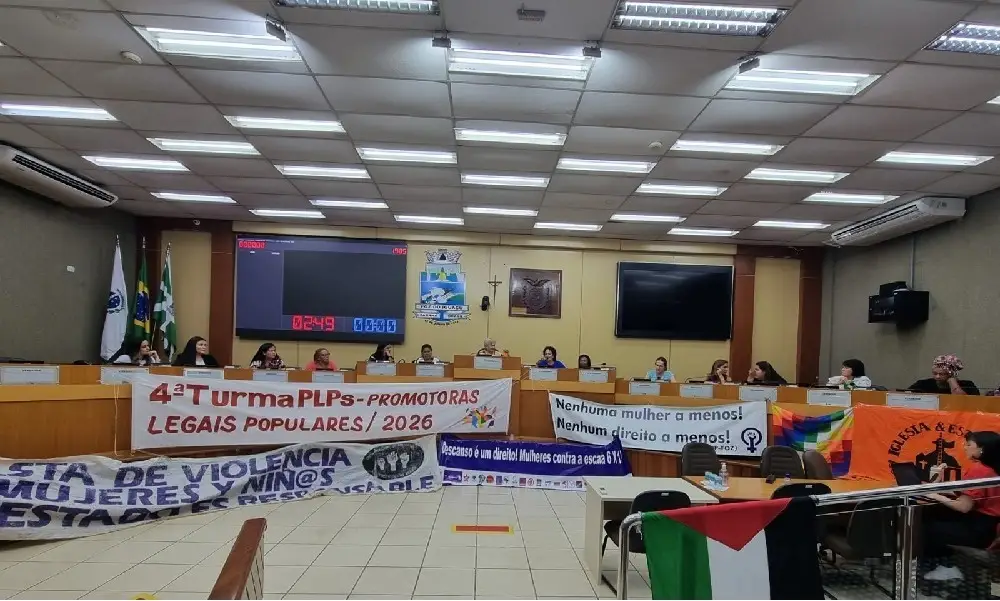 Entidades cobram políticas de gênero integradas entre Brasil, Paraguai e Argentina