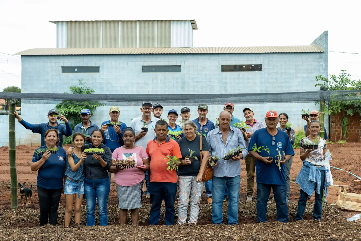 Oficinas de hortas dos Núcleos de Cooperação Socioambiental valorizam trabalho coletivo e criam espaços de convivência