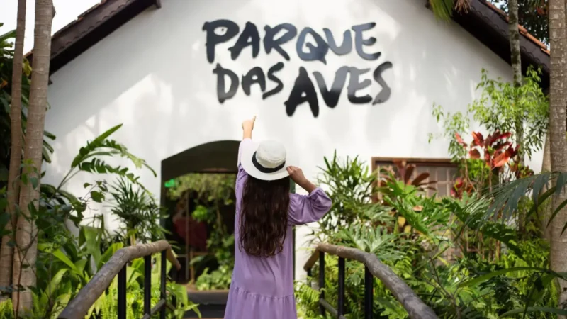 Parque das Aves registra nascimento inédito no mundo de espécie ameaçada de extinção