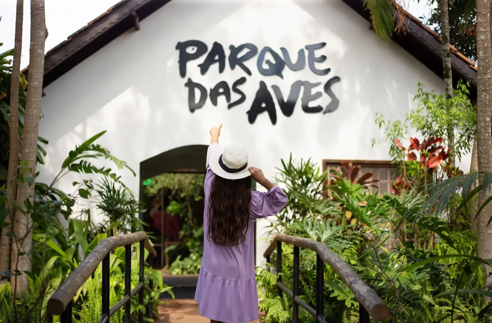 Parque das Aves registra nascimento inédito no mundo de espécie ameaçada de extinção