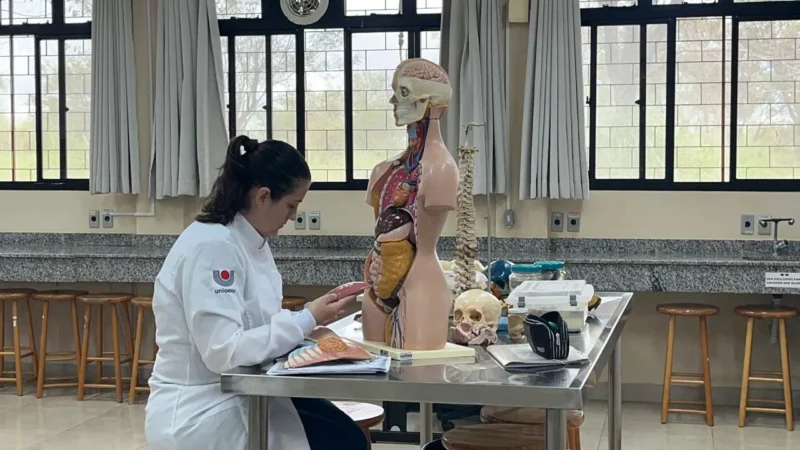 USP e Unioeste abrem inscrições para Doutorado em Enfermagem